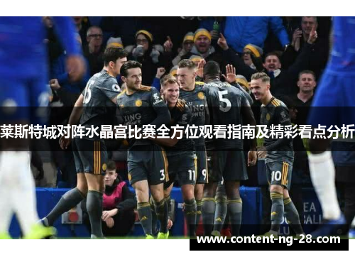 莱斯特城对阵水晶宫比赛全方位观看指南及精彩看点分析