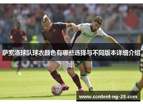 萨索洛球队球衣颜色有哪些选择与不同版本详细介绍