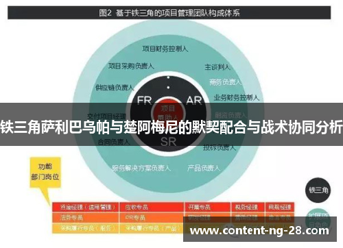 铁三角萨利巴乌帕与楚阿梅尼的默契配合与战术协同分析