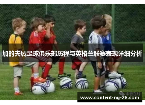 加的夫城足球俱乐部历程与英格兰联赛表现详细分析