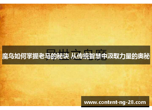 魔鸟如何掌握老马的秘诀 从传统智慧中汲取力量的奥秘