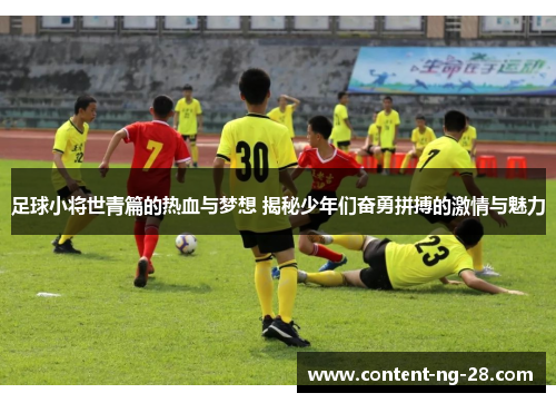 足球小将世青篇的热血与梦想 揭秘少年们奋勇拼搏的激情与魅力